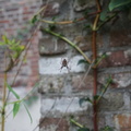 DSC02507